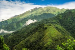 Serene green mountain range with clouds and vibrant foliage, offering a scenic and peaceful view.